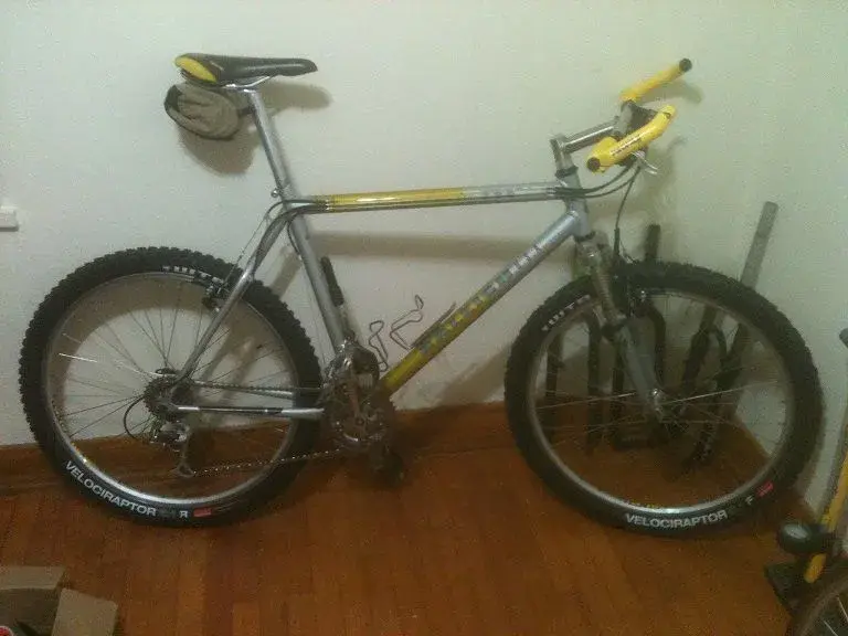 Raleigh MT300.webp