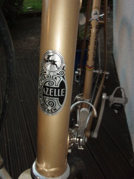 Head badge.JPG