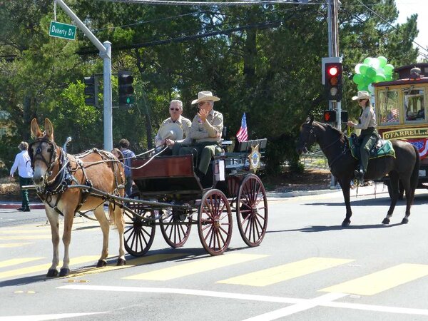 Old West donkey wagon.jpg