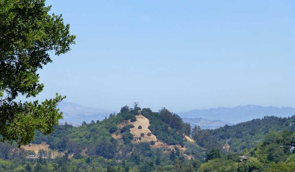 Red Hill and the Bay.jpg