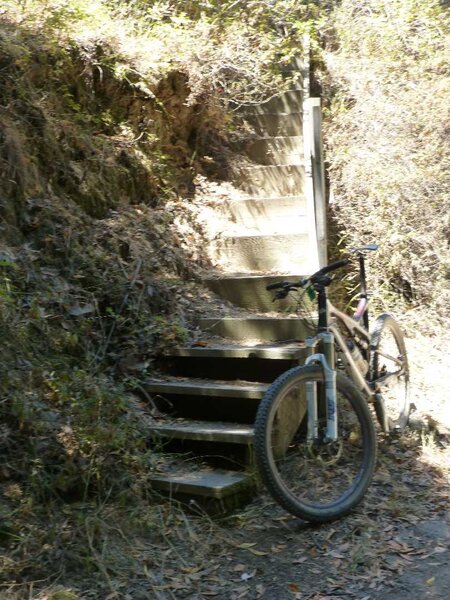 stairs in the woods.jpg