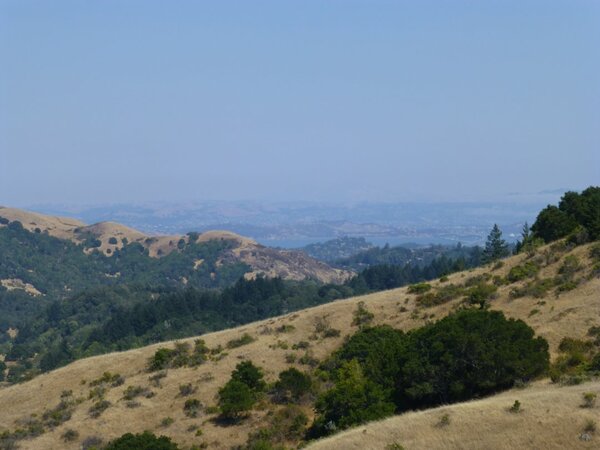 East Bay view.jpg