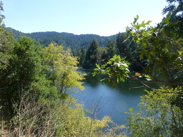 Lake Lagunitas.jpg