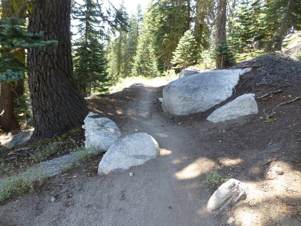 Tunnel Creek Trail climbing.jpg