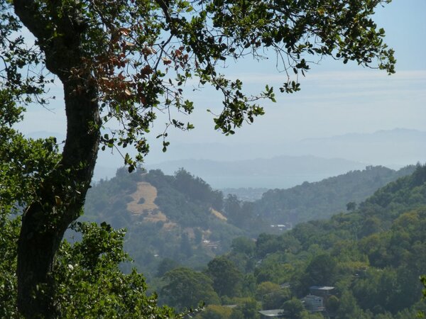 Red Hill and the Bay.jpg