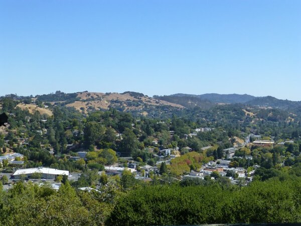 Above Fairfax.jpg