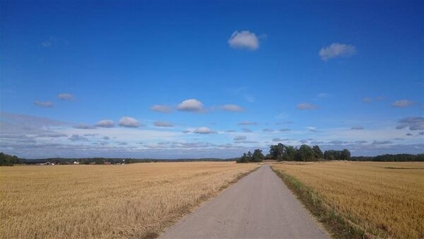 sky and field.jpg