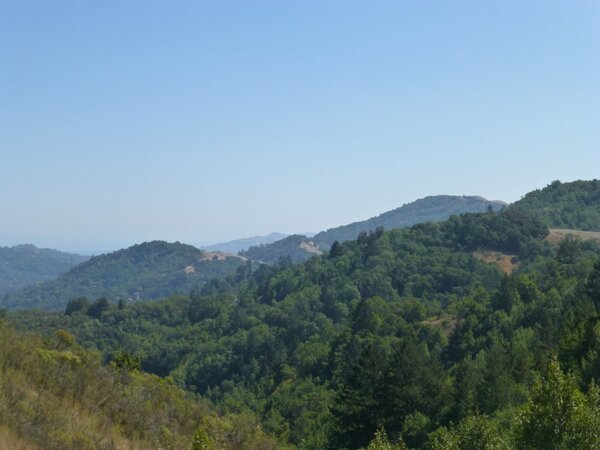 Hills around Fairfax.jpg