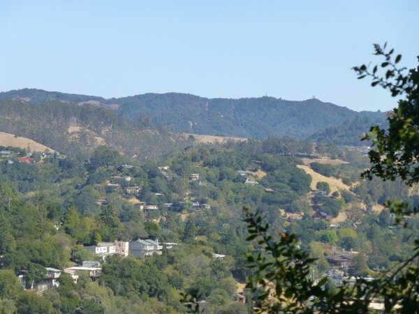 Above Fairfax.jpg