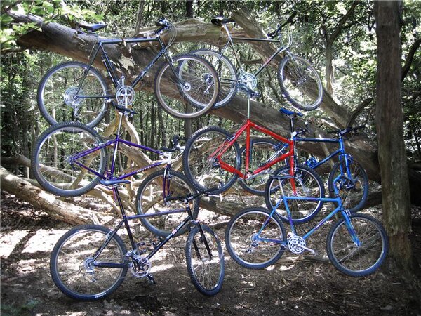 ClassicRidebiketree600h.jpg