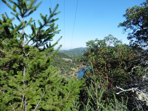 Above Phoenix Lake.jpg