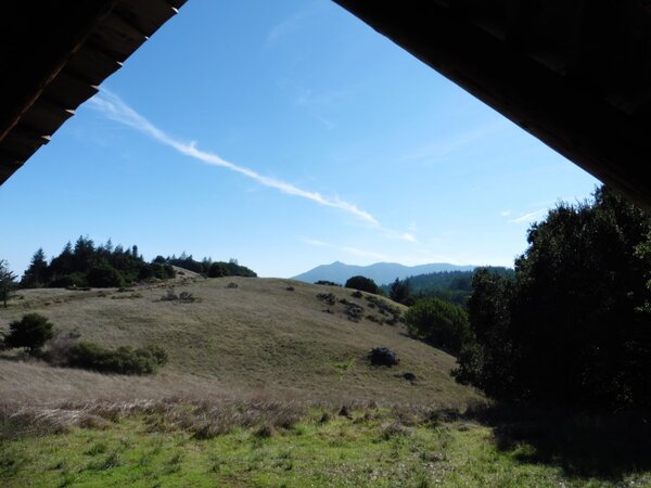 View of Mt. Tam from Tamarancho.jpg