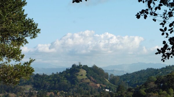 Red Hill and the Bay.jpg