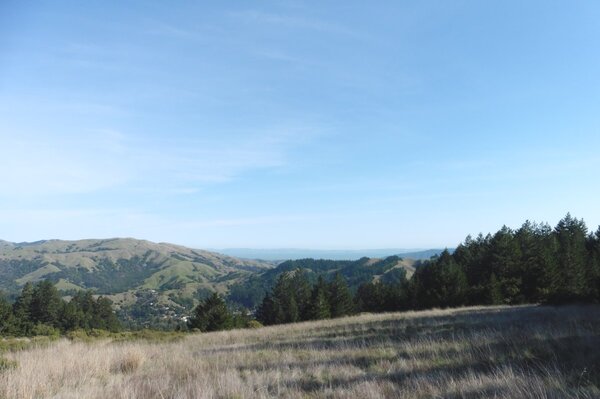 Looking East from the Ridge.jpg