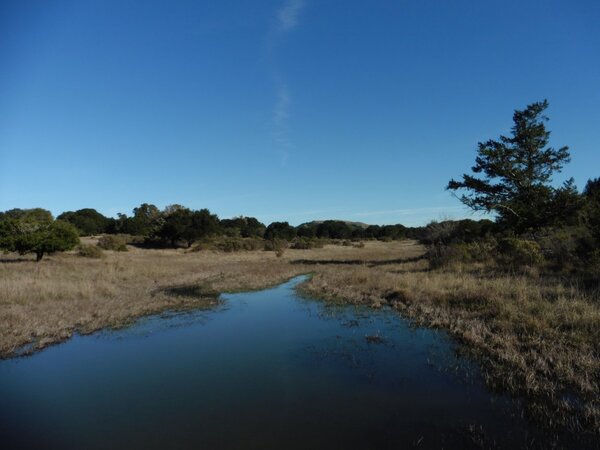 Vernal Pool in Big Meadow.jpg