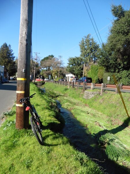 San Anselmo creek.jpg