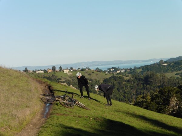 Checking the new growth in the burn area.jpg