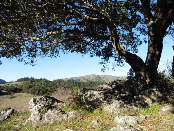 View from the Council Rocks.jpg