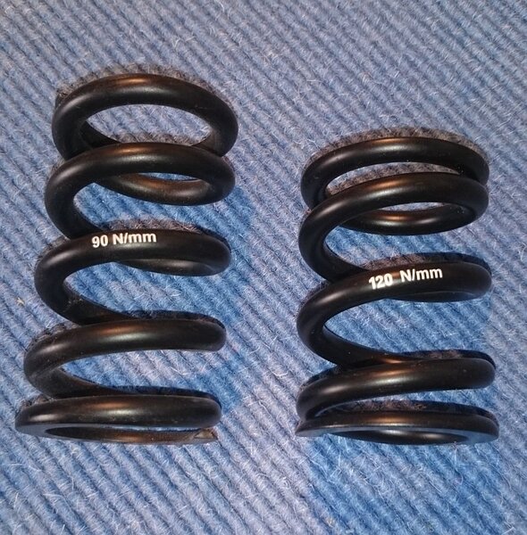 RetroBike Rear Springs.jpg