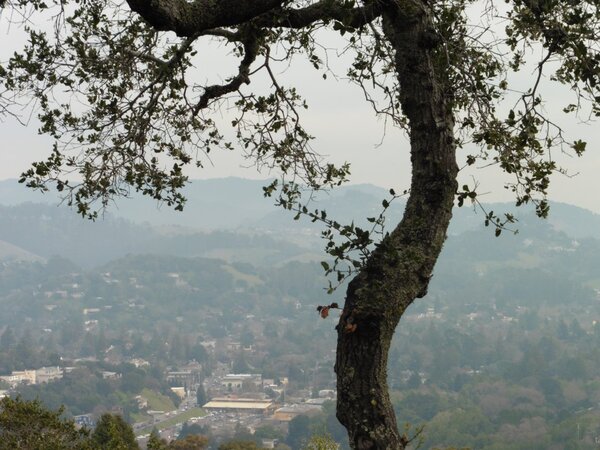 Low cloude over Fairfax.jpg