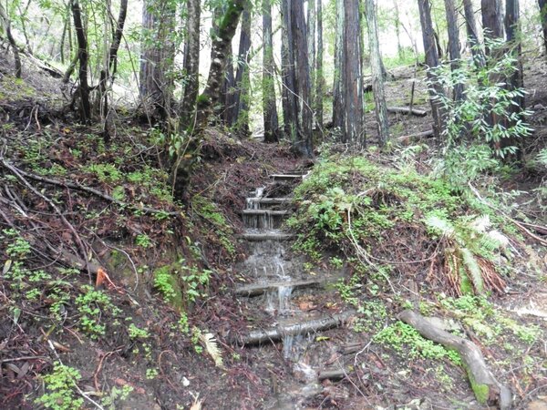 Waterfall stairs.jpg