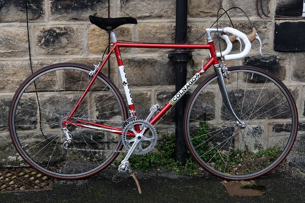 Colnago right side.jpg