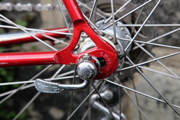 Colnago rear dropout.jpg