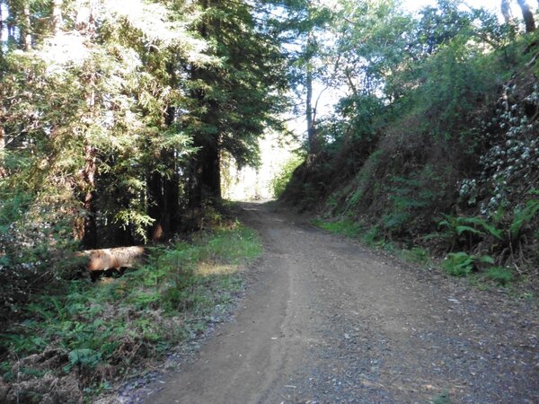 Lower Concrete Pipe fire road.jpg