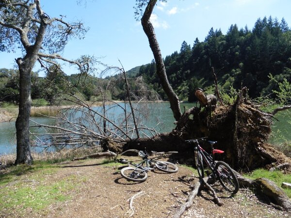 Lake Lagunitas.jpg