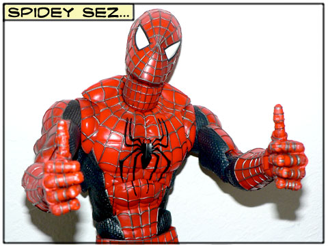 spidey_sez_2thumbs_up1.jpg