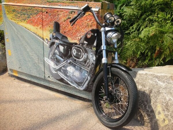 bike from Eden project.jpg