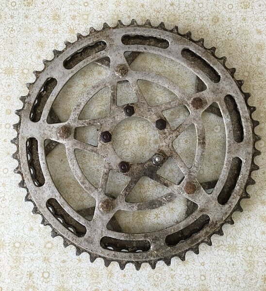 Chainrings Before a.jpg