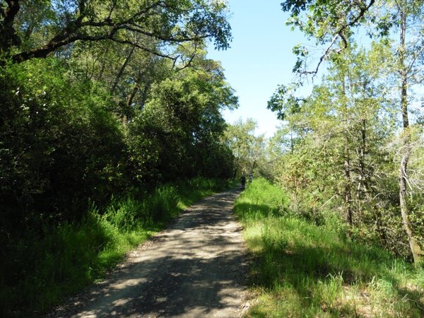 Concrete pipe road.jpg