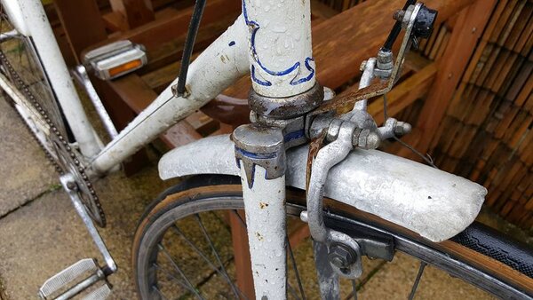 white racing bike forks.jpg