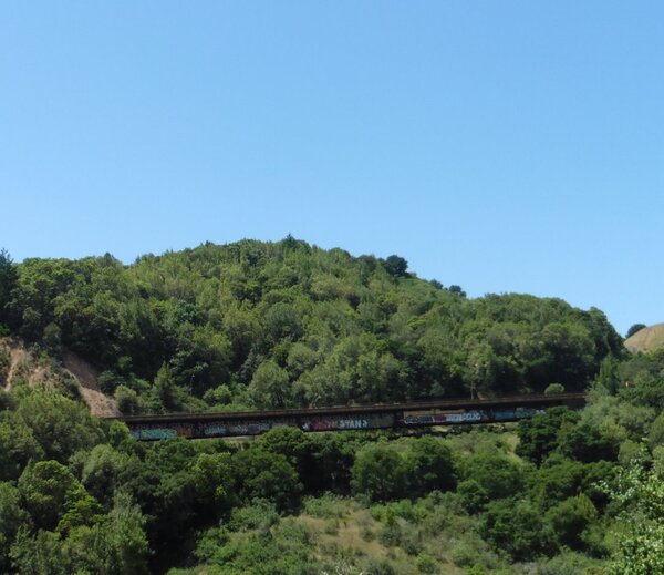 Bridge on White's Hill.jpg