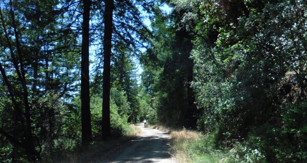 Concrete Pipe fire road.jpg