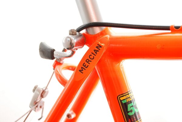 Mercian detail 1.jpg