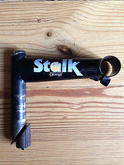 stalk stem.jpg