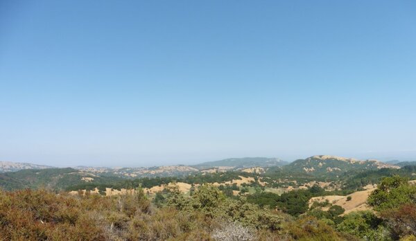 Looking east from 1200'.jpg