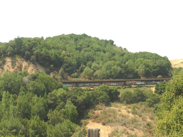 Bridge on White's Hill.jpg