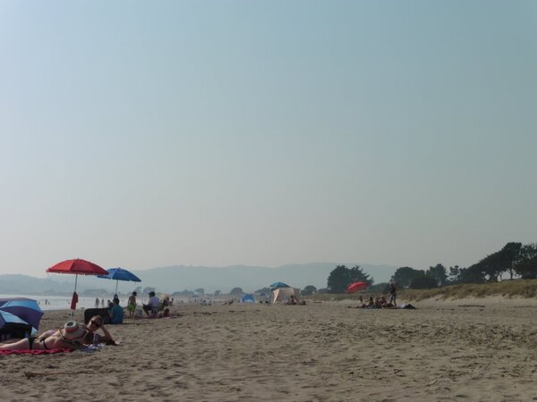 Sea Drift end of Stinson Beach.jpg