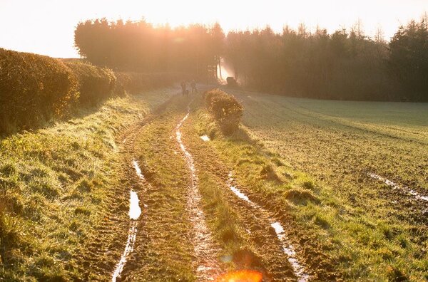 Chilterns 1984.jpg