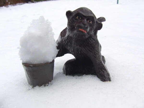 Snow_Fun_Being_A_Monkey.jpg