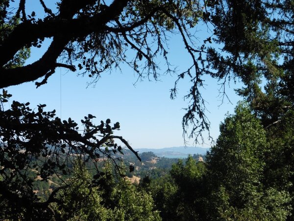 Mt. Diablo in the East Bay.jpg