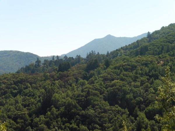 Mt. Tam today.jpg