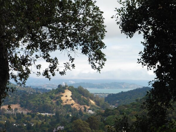 Red Hill and SF Bay.jpg