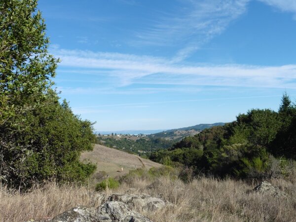 Looking East towards the Bay.jpg