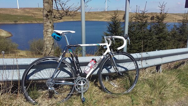 concorde pro in the sun.jpg