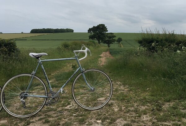 Track and Hedgerow.jpeg