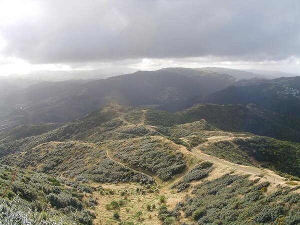 Singletrack Heaven, Makara Peak.JPG